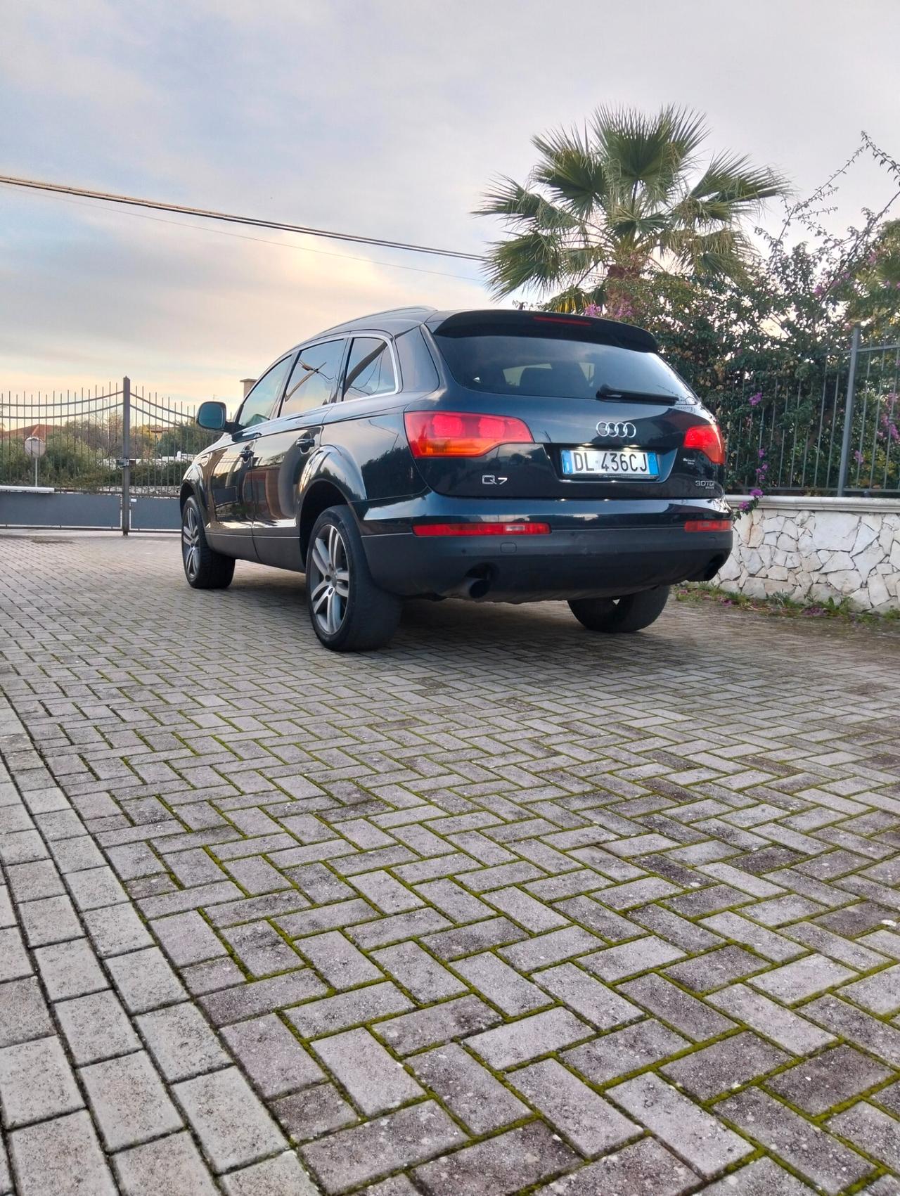 Audi Q7 3.0 V6 TDI 240 CV quattro tiptronic Advanced Plus