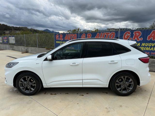 FORD Kuga 1.5 EcoBlue Automatica ST-Line GARANZIA