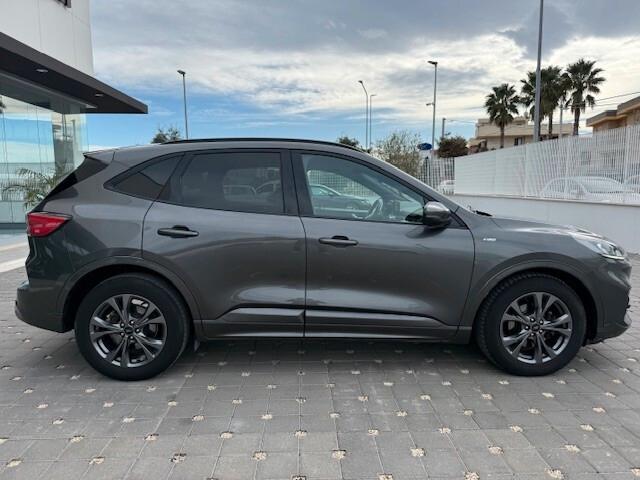 Ford Kuga 1.5 EcoBlue 120 CV 2WD ST-Line 2022