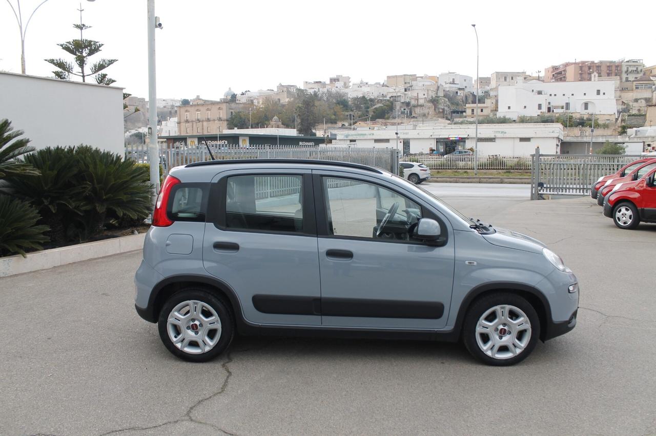 Fiat Panda 1.0 FireFly S&S Hybrid