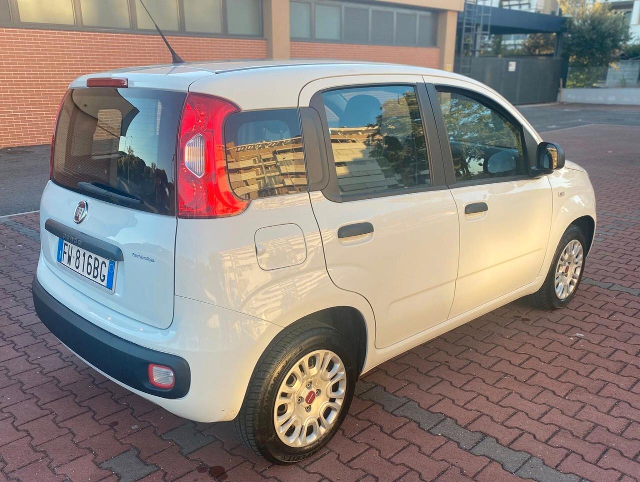 FIAT PANDA EASY 1.2cc IDONEA NEOPATENTATI