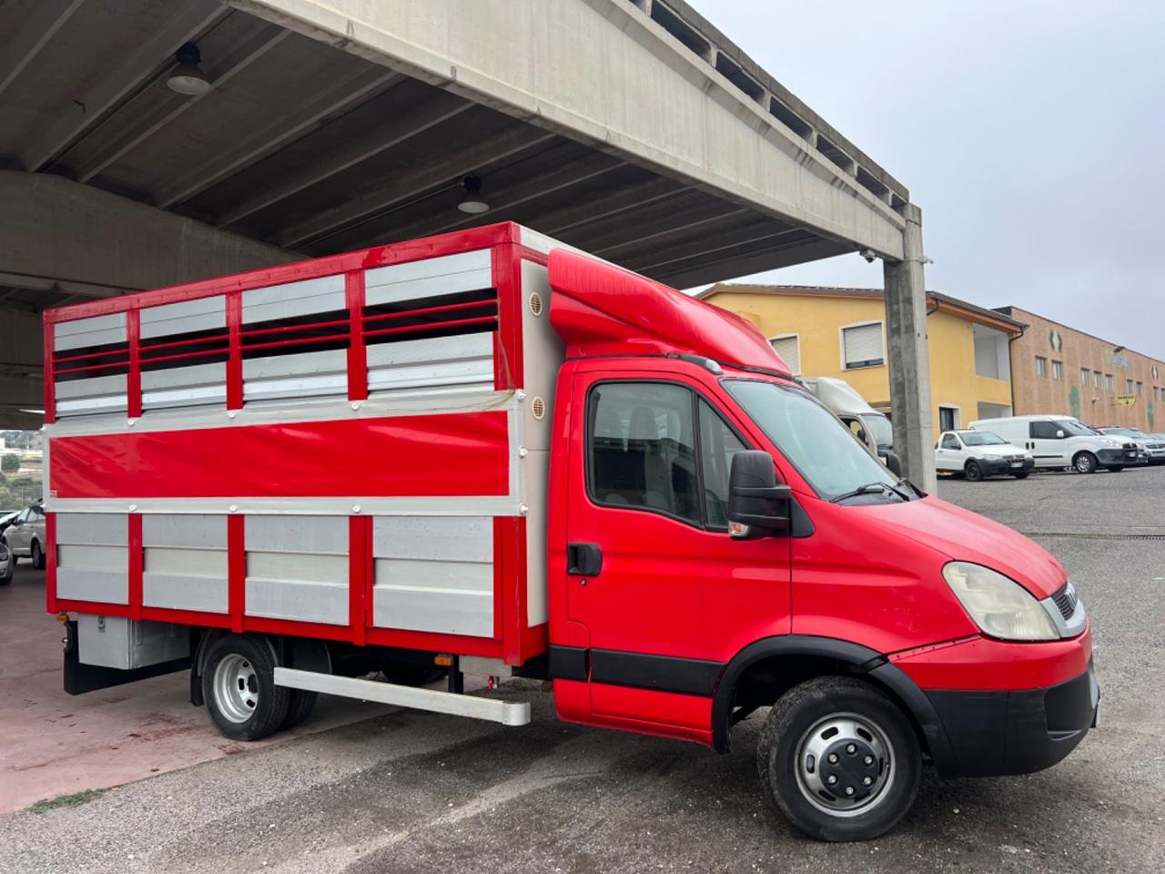 Iveco daily 35.15 Trasporto animali vivi patente B Finanziabilr