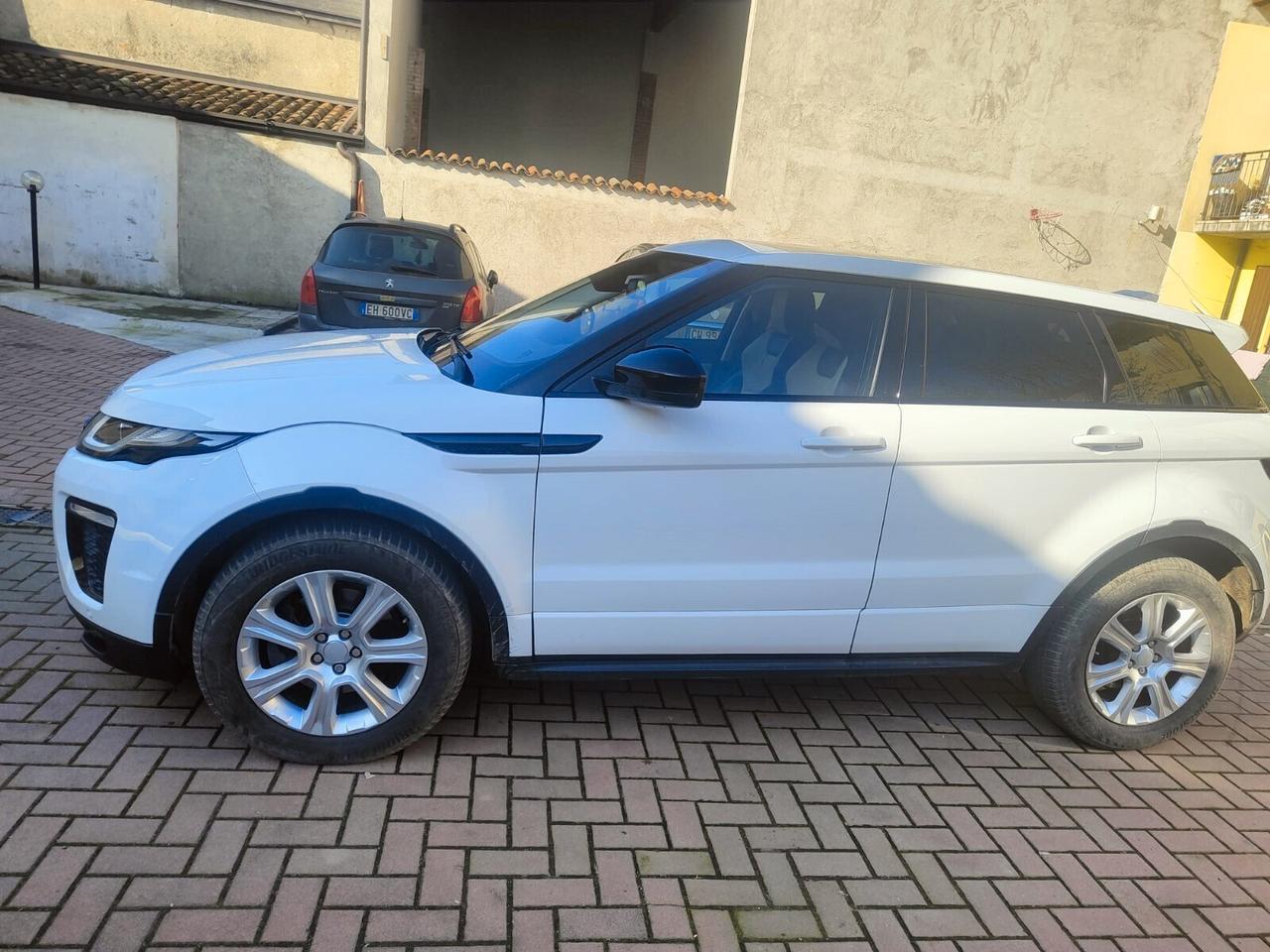 Land Rover Range Rover Evoque Range Rover Evoque 2.0 TD4 150 CV 5p. Business Edition Pure