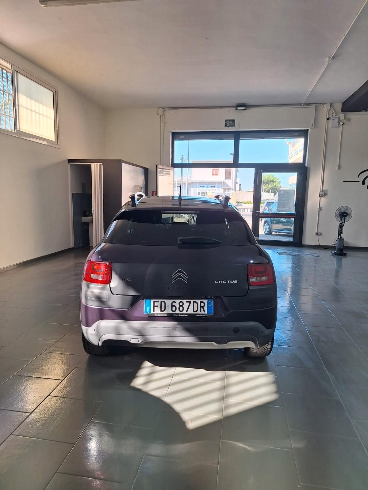 Citroen C4 Cactus BlueHDi 100 Shine 2016