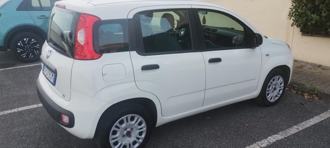 Fiat Panda 1.2 Easy 5P ANNO 2019 BENZINA