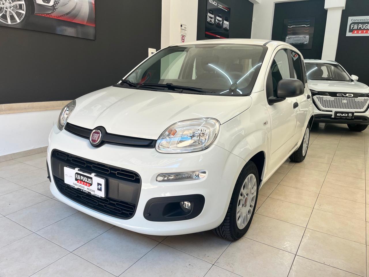 Fiat Panda 1.2 Easy - 2019