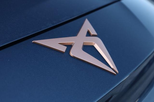 CUPRA Leon 2.0 TDI 150 CV DSG