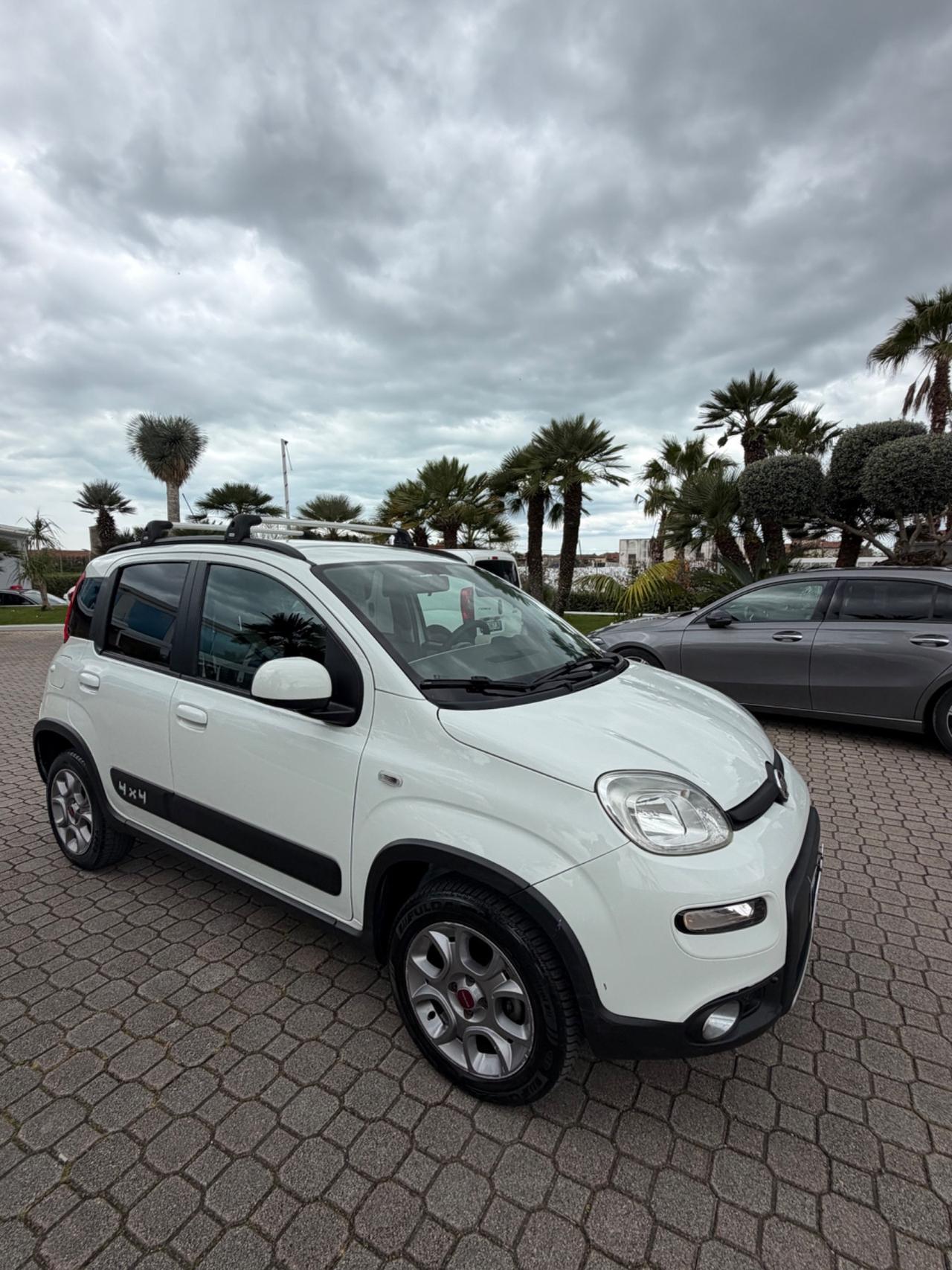 Fiat Panda 1.3 MJT S&S 4x4 Antartica