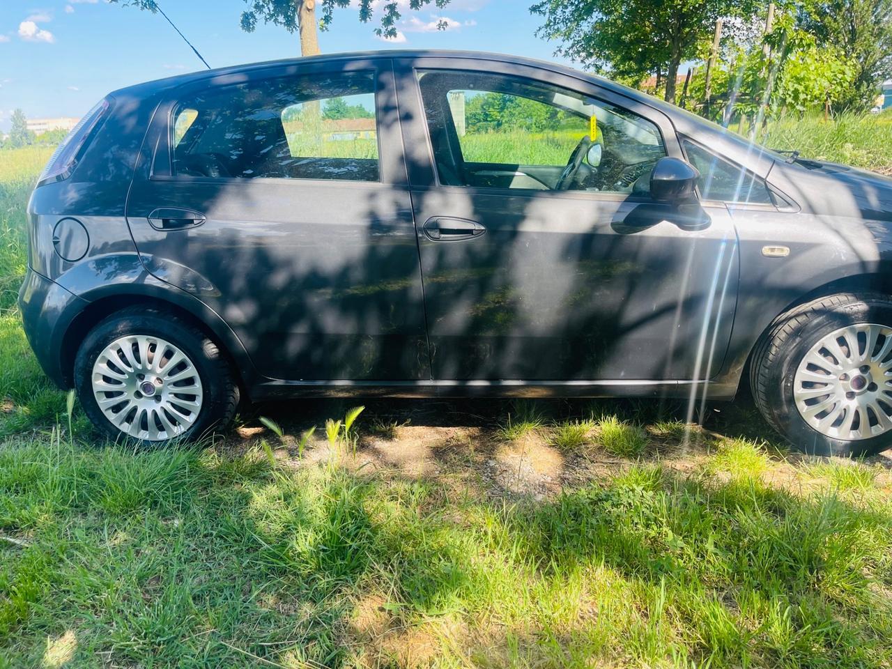 Fiat Punto Evo 1.4 5 porte Active