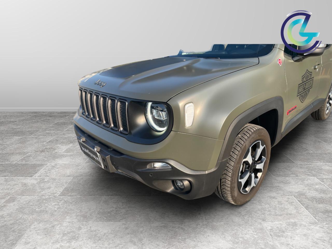 JEEP Renegade 2019 - Renegade 2.0 mjt Trailhawk 4wd 170cv auto 9m