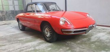 Alfa Romeo Spider 1.6 Duetto " osso di seppia " 1 serie