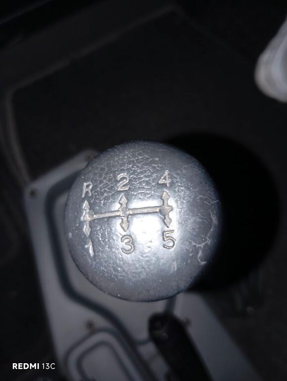 LAIKA ECO VIP 400 FRECCIA D'ORO GEMMELLATO 1999