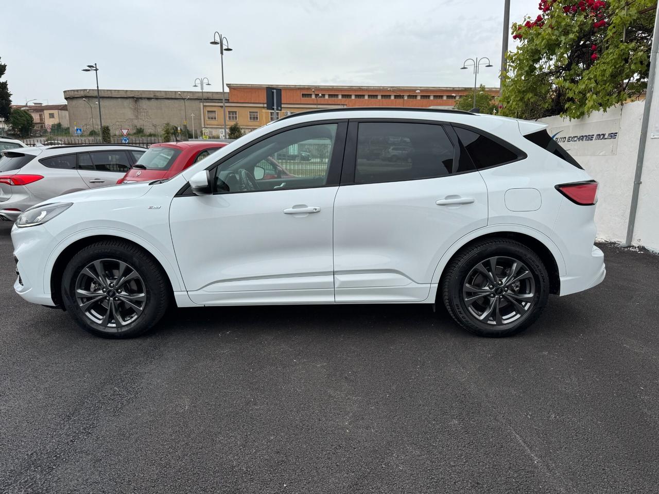 Ford Kuga 1.5 EcoBlue 120 CV aut. 2WD ST-Line X