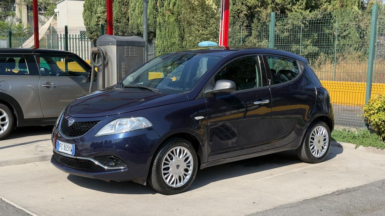Lancia Ypsilon 1.2 69 CV 5 porte Platinum
