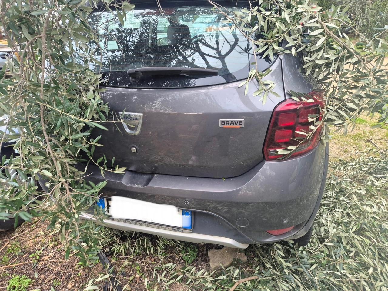 Dacia Sandero Stepway 1.5 dCi 8V 90CV Start&Stop