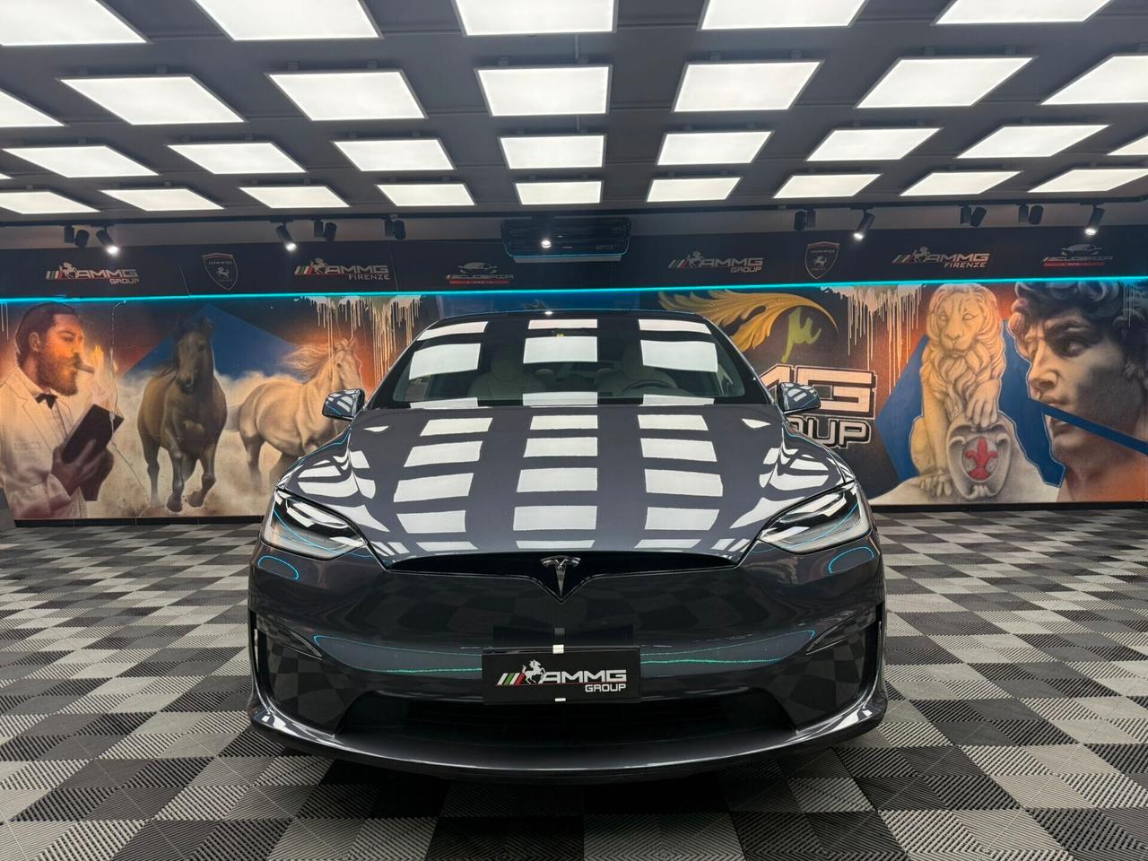 Tesla Model X LONG RANGE (734)
