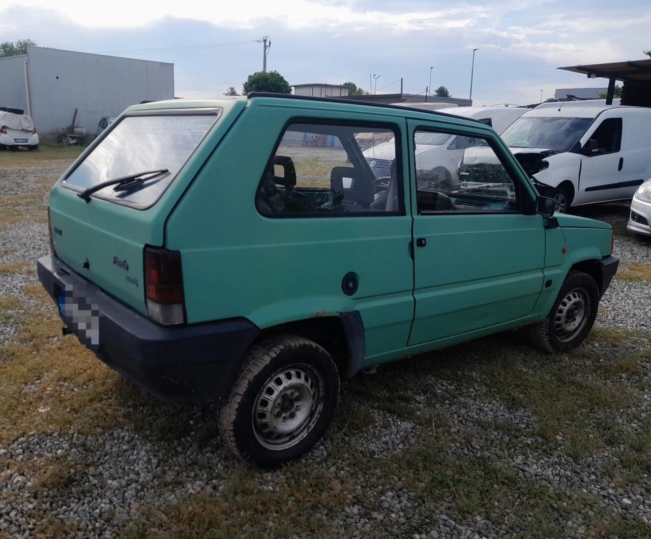 Fiat Panda 900 i.e. cat Young
