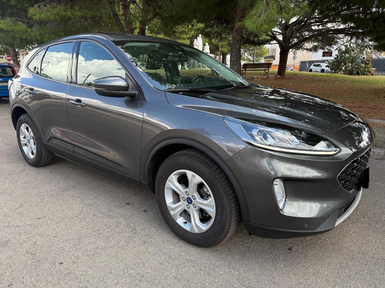 Ford Kuga 1.5 EcoBlue 120 CV aut. 2WD ST-Line X