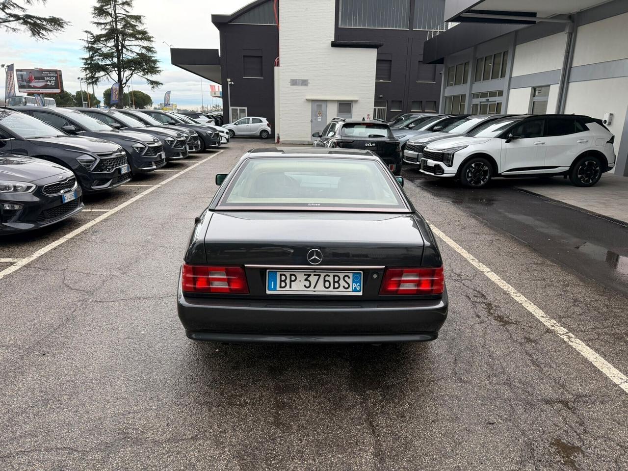 Mercedes-benz SL 300 SL-24 cat