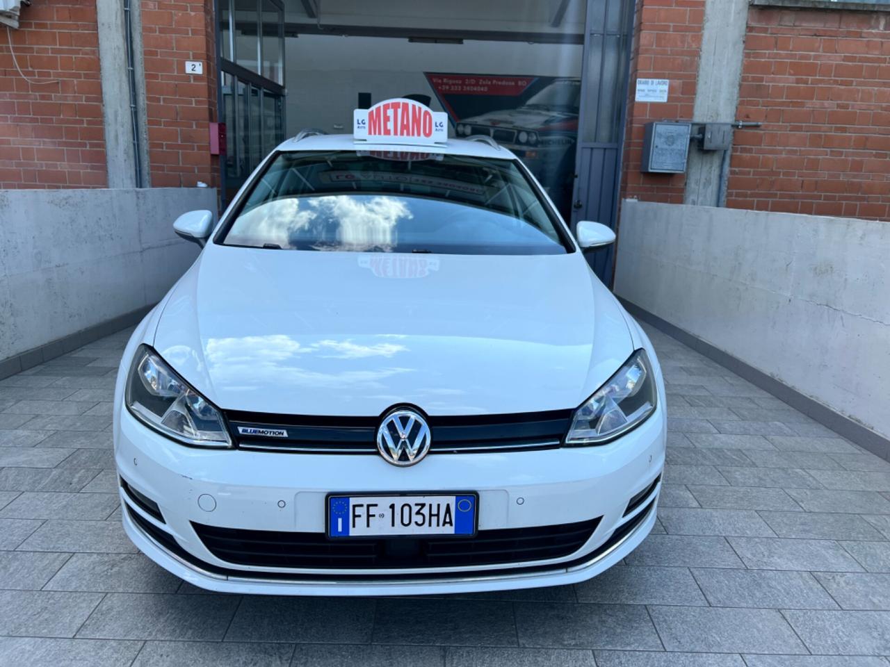 Volkswagen Golf Variant 1.4 TGI Executive BlueMotion