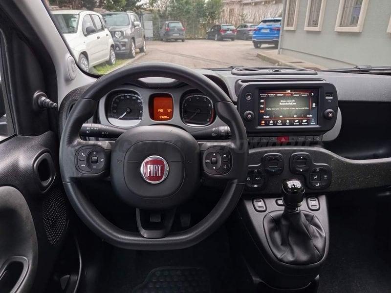 FIAT Panda Cross Panda 1.0 firefly hybrid Cross s&s 70cv
