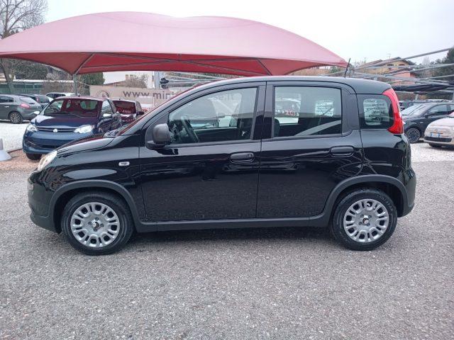 FIAT Panda 1.0 FireFly S&S Hybrid Pandina