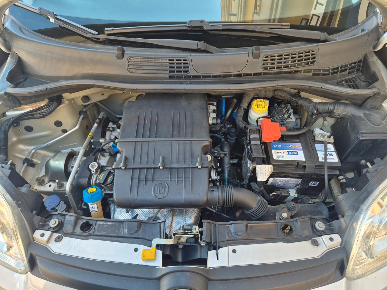 FIAT PANDA 1.2 BENZINA 70 CV ANNO 2016 KM CERTIFICATI