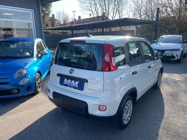 FIAT Panda 1.0 FireFly S&S Hybrid #VARI COLORI