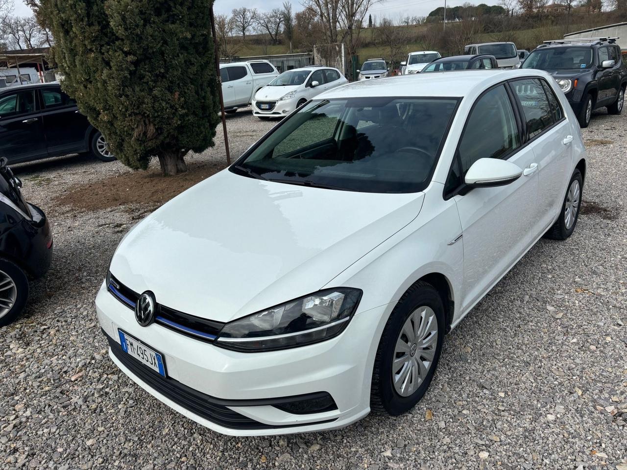 Volkswagen Golf 1.4 TGI 5p. Trendline BlueMotion