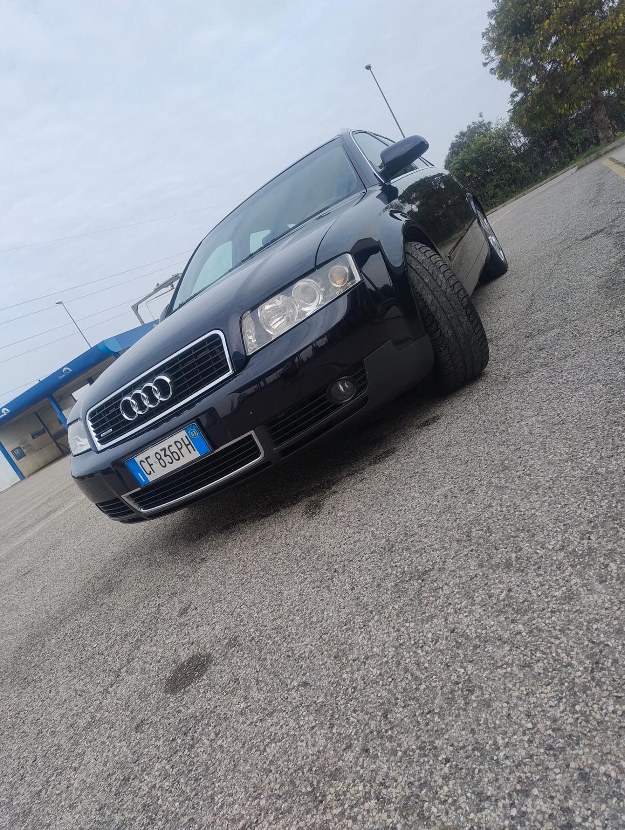 Audi A4 2.5 V6 TDI/180 CV cat Avant quattro