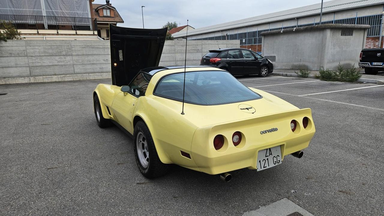 Corvette C3 T-Top