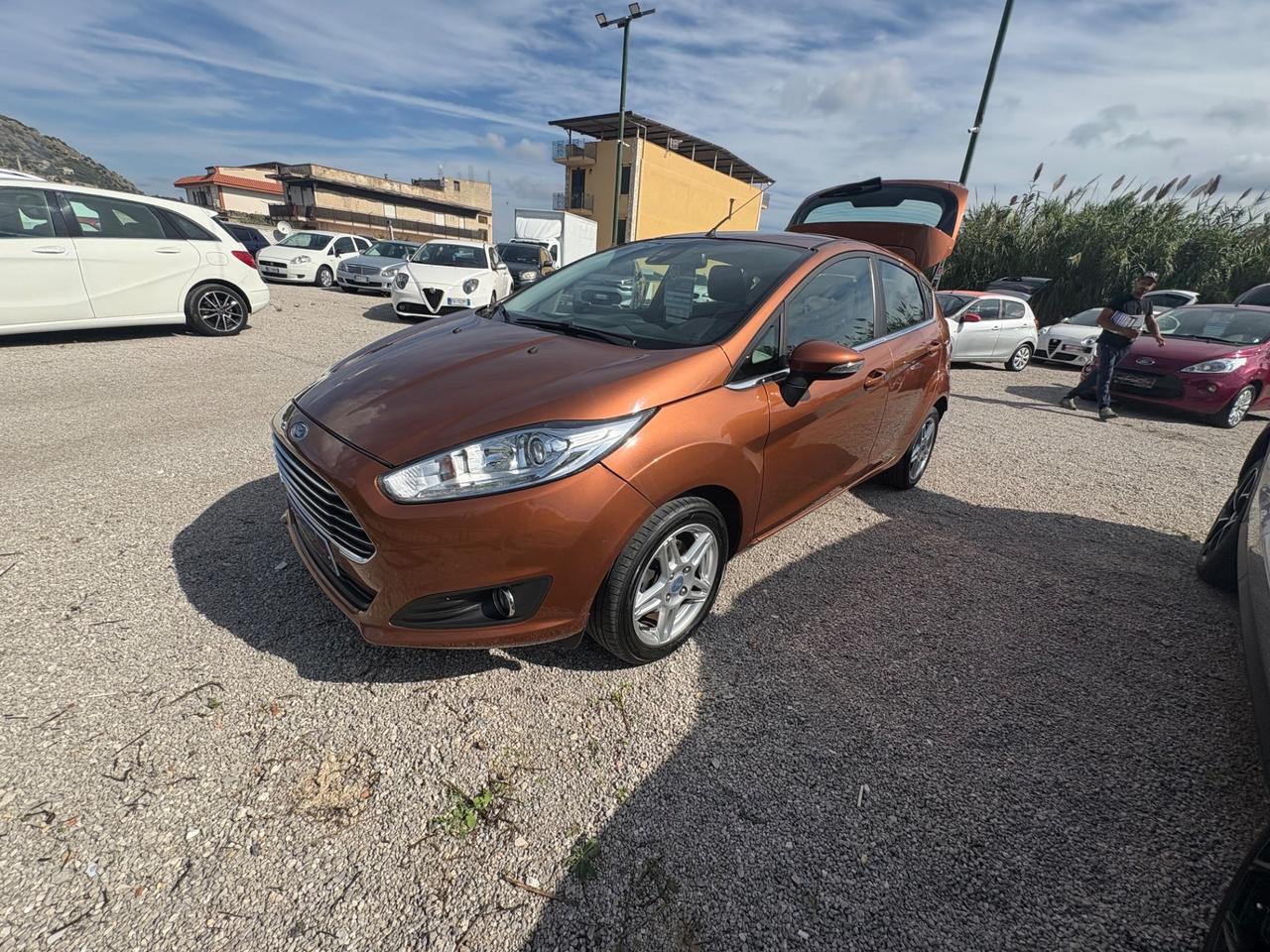Ford Fiesta 1.0 EcoBoost 100CV 5 porte Powershift Titanium