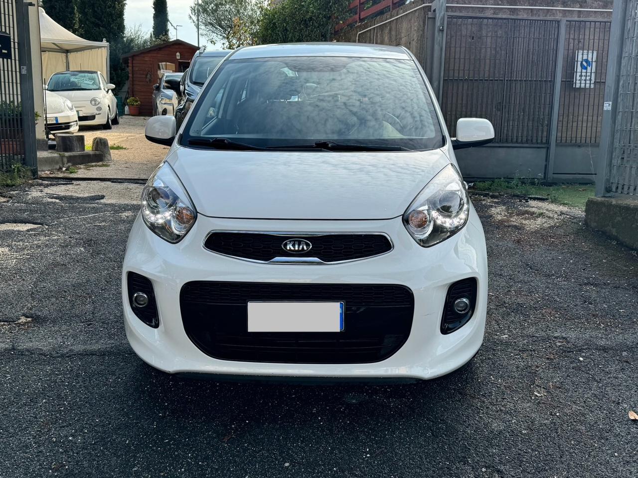 Kia Picanto 1.0 12V NEOPATENTATI CERTIFICATA