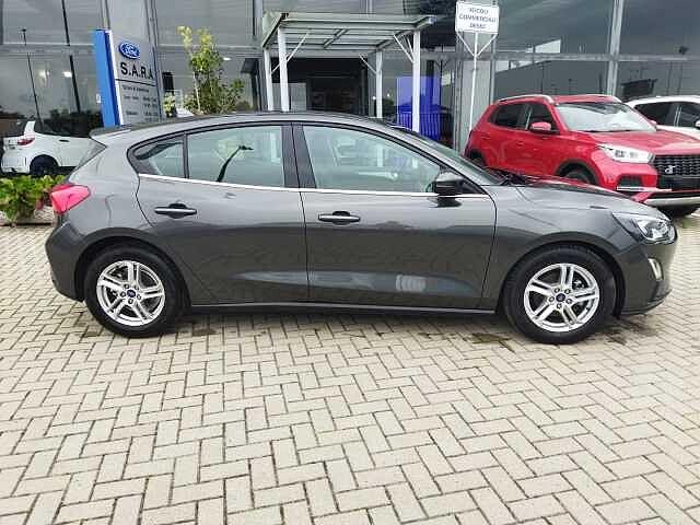 Ford Focus 1.5 EcoBlue 120 CV 5p. Business