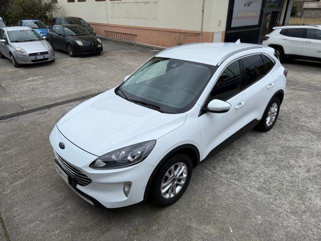 FORD Kuga 1.5 EcoBlue 120CV aut. 2WD Titanium Business