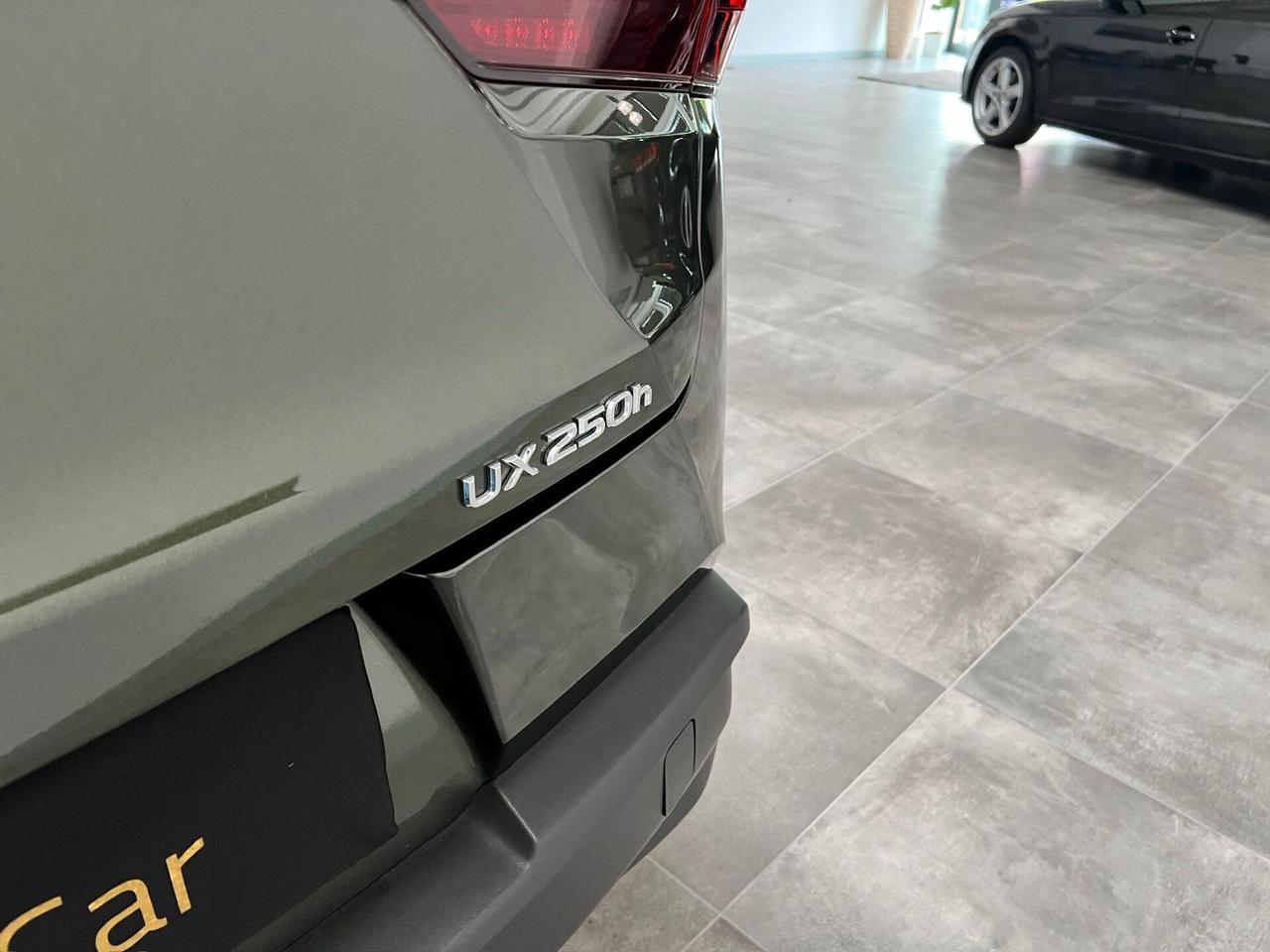 Lexus UX Hybrid Urban