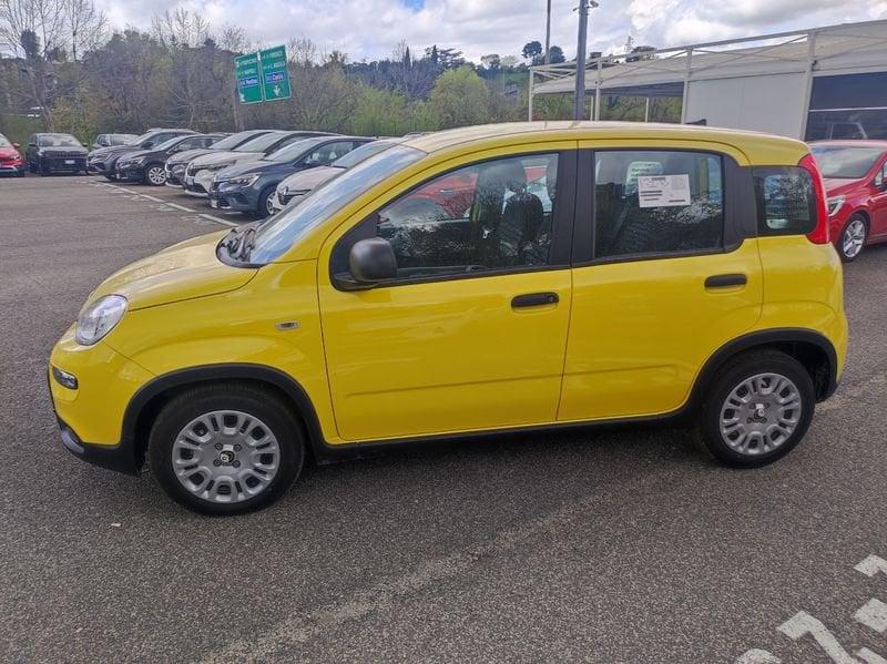 FIAT Panda III 2024 1.0 firefly hybrid s&s 70cv