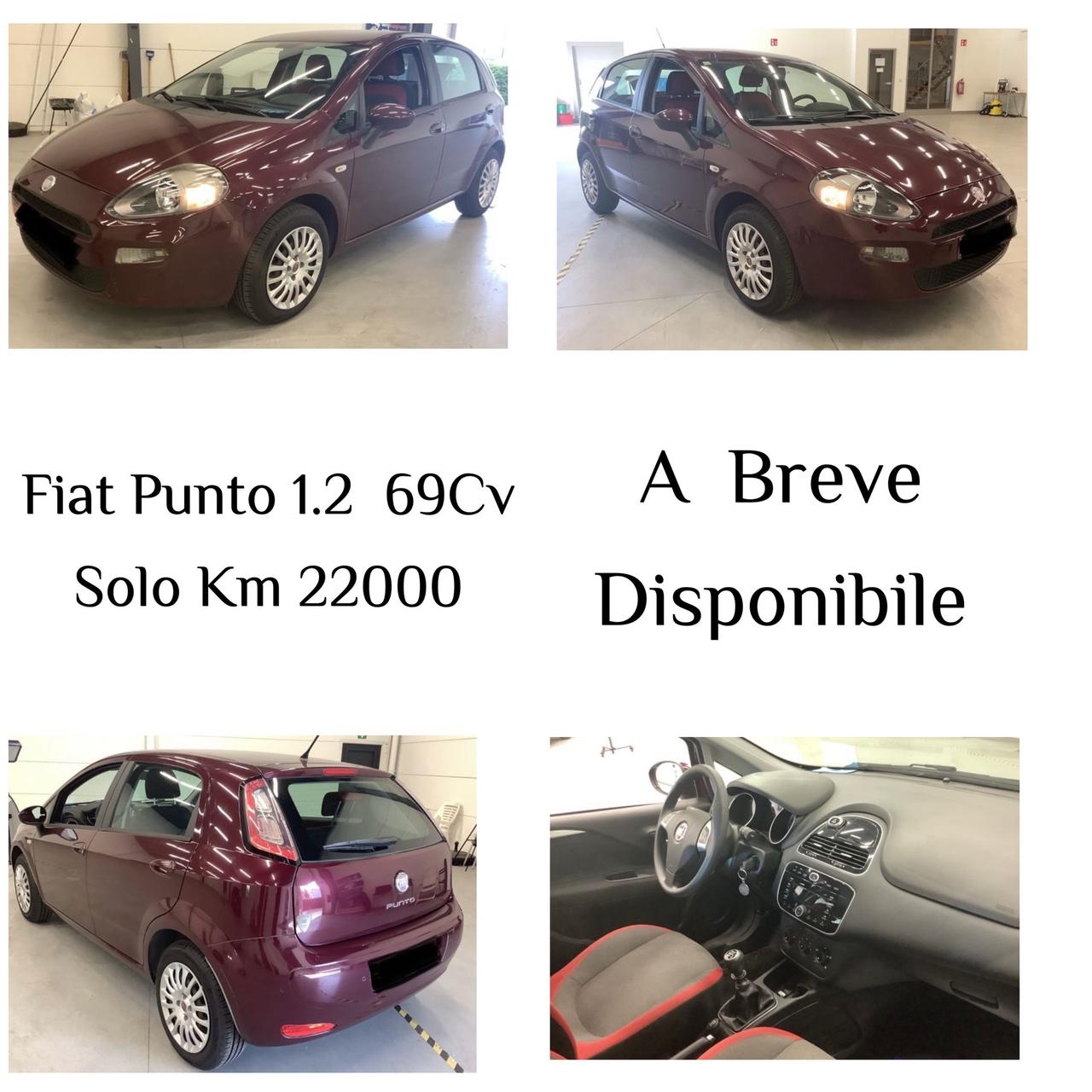 Fiat Punto 1.2 8V 5 porte Easy-solo Km 22000-