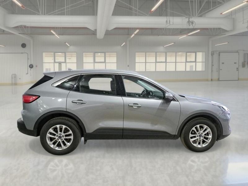 FORD KUGA 1.5 ECOBLUE 120 CV 2WD TITANIUM BUSINESS 5 PORTE SUV