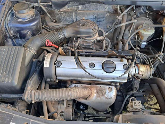VOLKSWAGEN Golf 1.6 cat 5 porte ISCRITTA ASI OK NEOPATENTATI
