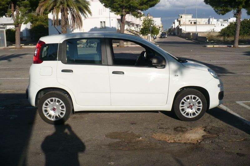 FIAT Panda Panda 1.2 Easy