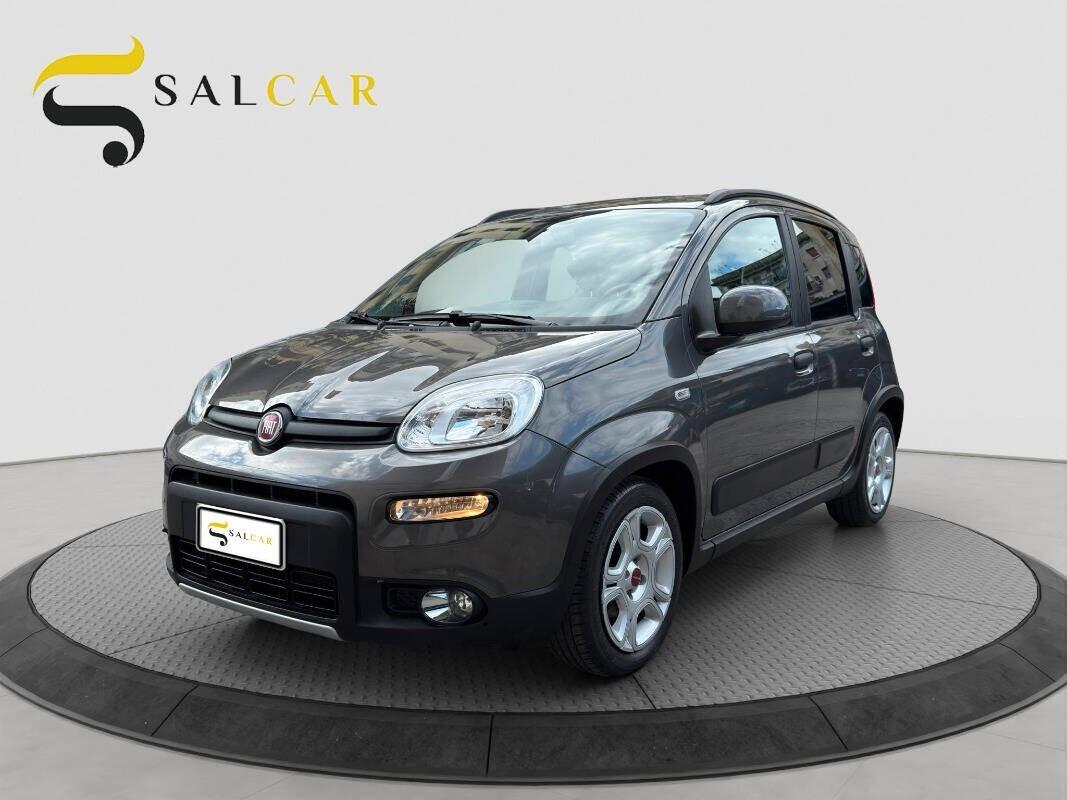 Fiat Panda 1.0 FireFly S&S Hybrid City Cross 2023