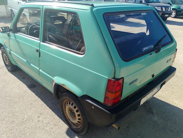 FIAT Panda 1ª serie 1100 i.e. cat Young