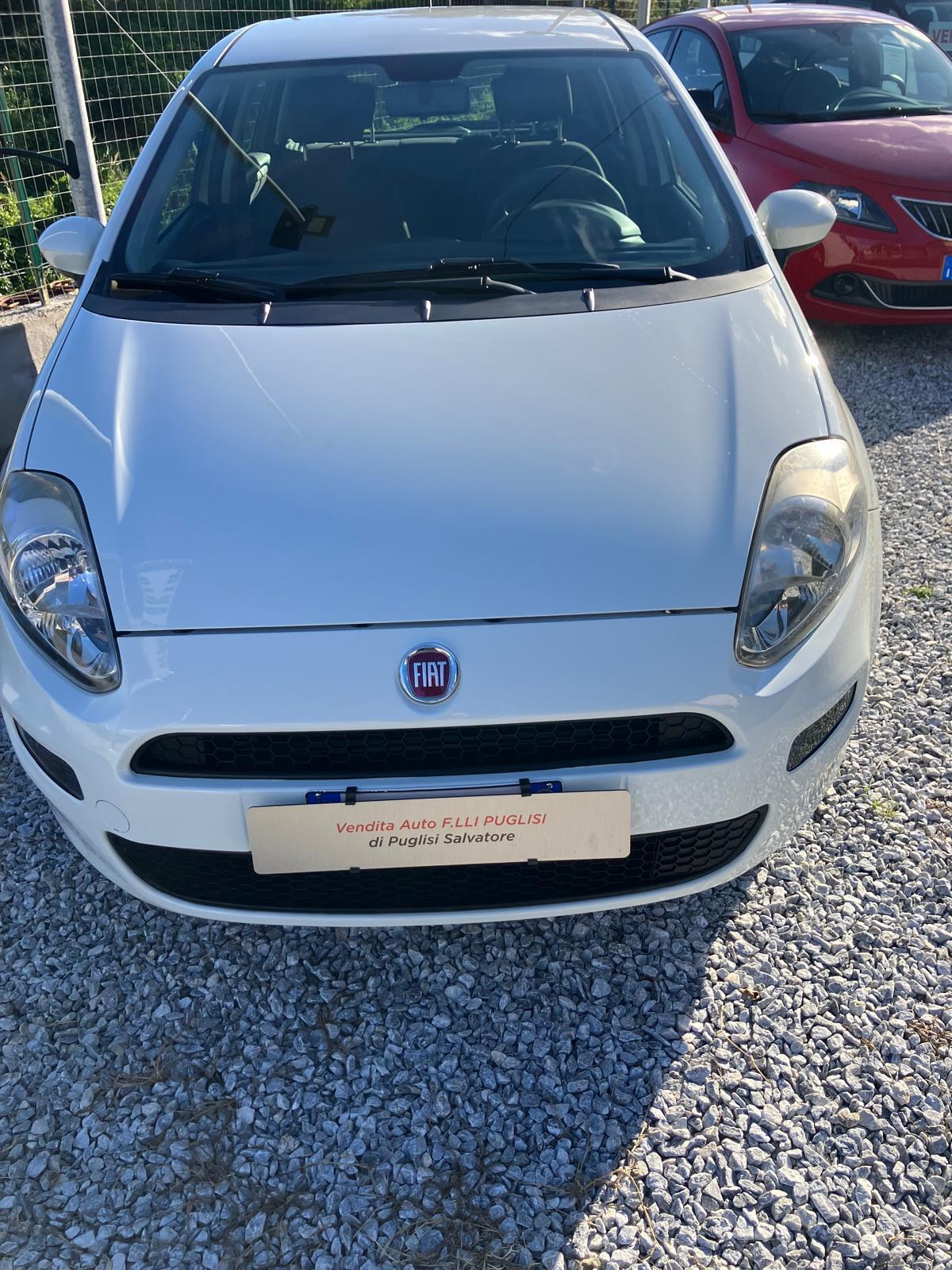 Fiat Punto 1.2 5 porte Street NEOPATENTATI, UNICO PROPRIETARIO