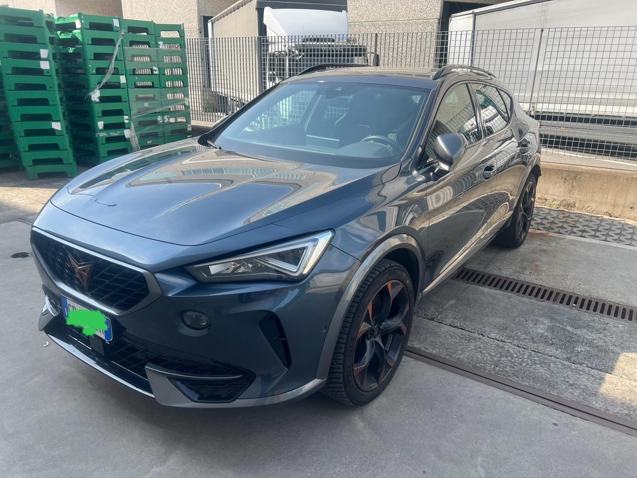Cupra Formentor 2.0 TSI 4Drive DSG Tribe Edition Unicoproprietario