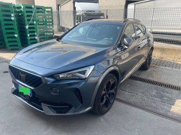 Cupra Formentor 2.0 TSI 4Drive DSG Tribe Edition Unico Proprietario