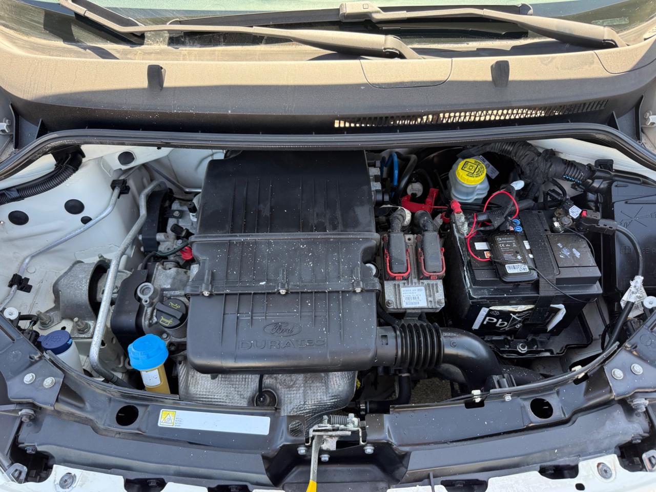 Ford Ka 1.2 8V 69CV Business