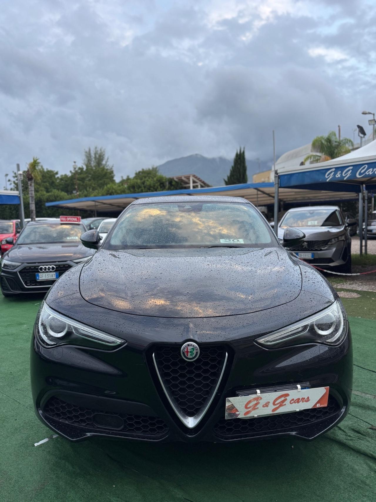 Alfa Romeo Stelvio 2.2 Turbodiesel 190 CV AT8 Q4 Navi Automatica Xenon