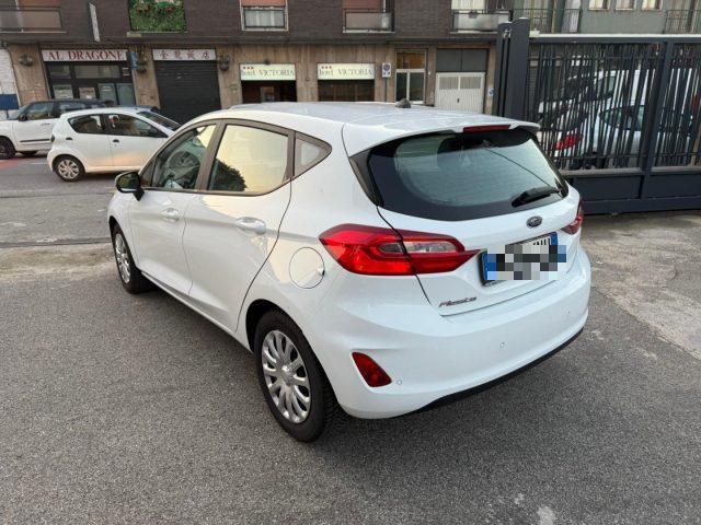 FORD Fiesta 1.5 EcoBlue 5 porte Plus