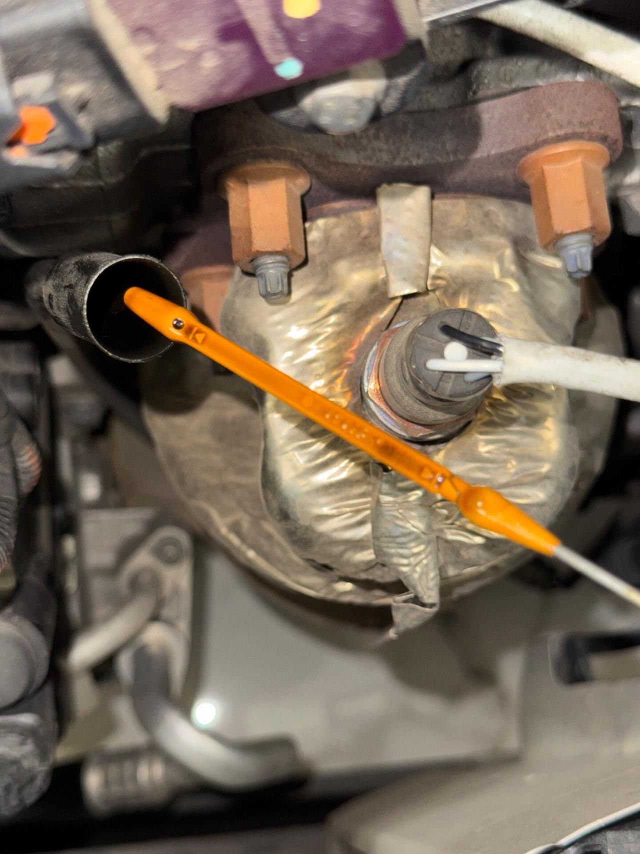 Peugeot 208 5 porte CINGHIA NUOVA